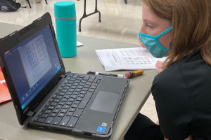 Student in remote learning  